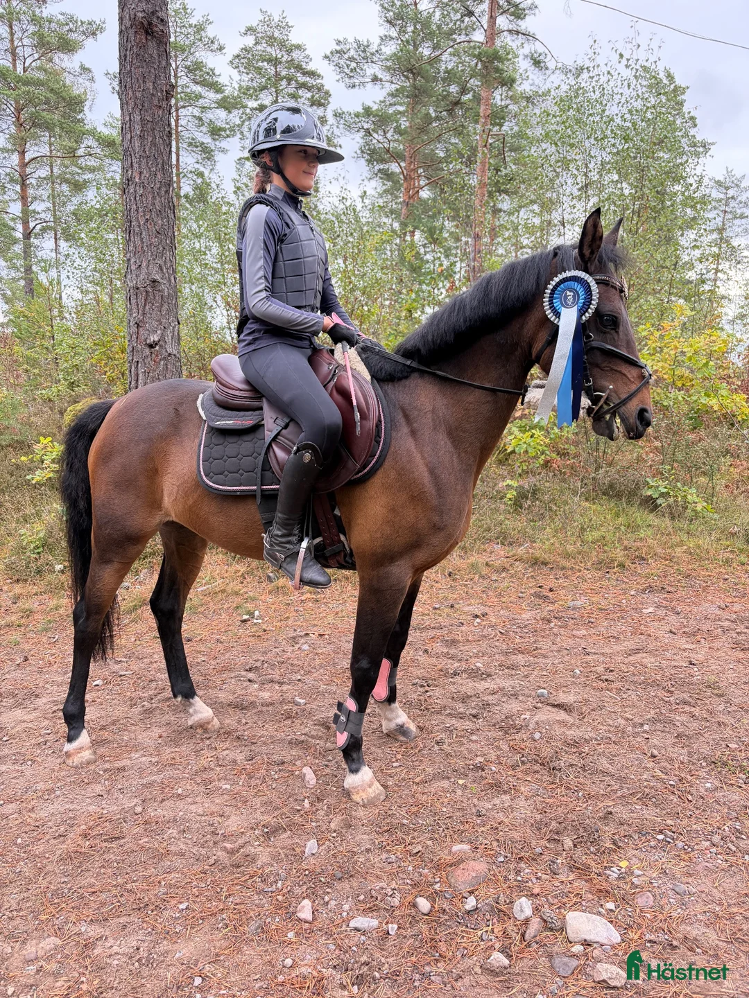 Allround hästar till salu: Allround ponny i Gamleby - Annons 1