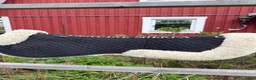 Sadeltillbehör hästutrustning till salu: Paddar till sadel - Annons 1