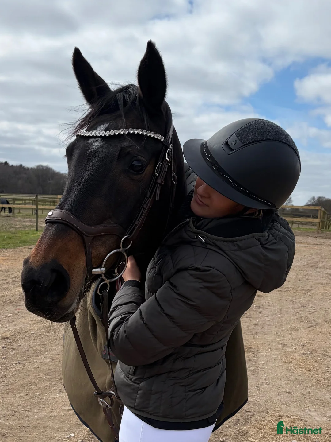 Hoppning hästar till salu: Smuk FEI springpony - Annons 1