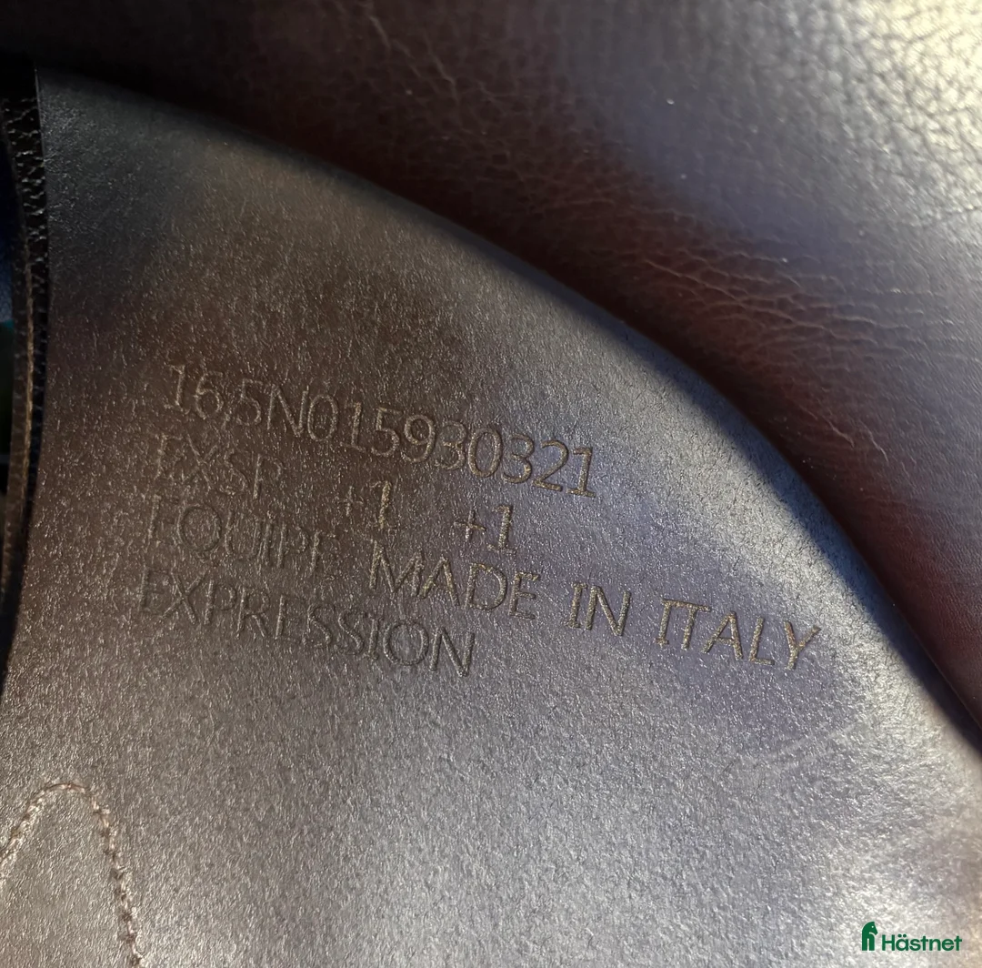 Sadlar hästutrustning till salu: Fin equipe expression special i Bjärred - Annons 4