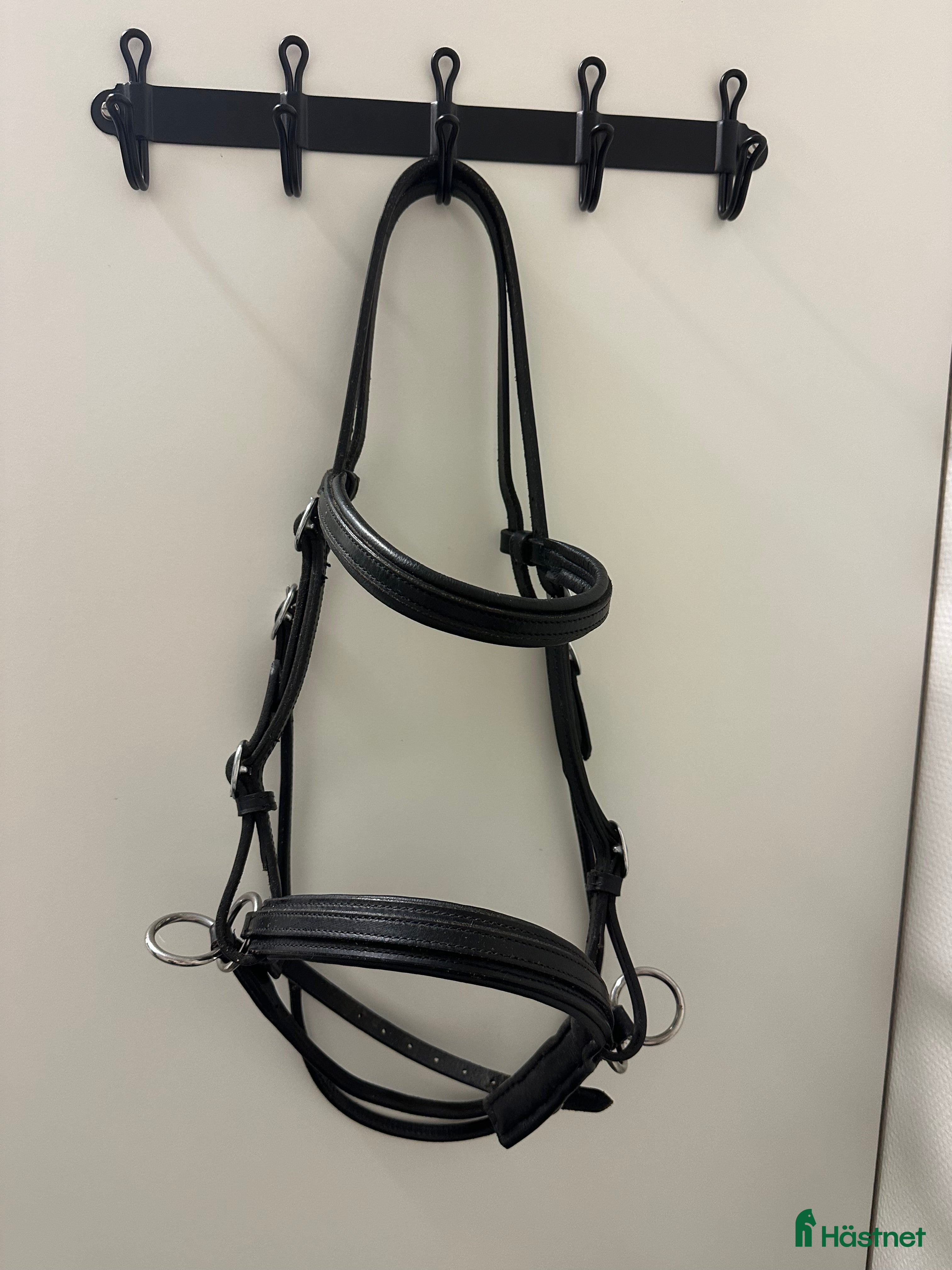 Träns hästutrustning till salu: Bettlöst träns Globus  i Kristianstad - Annons 1