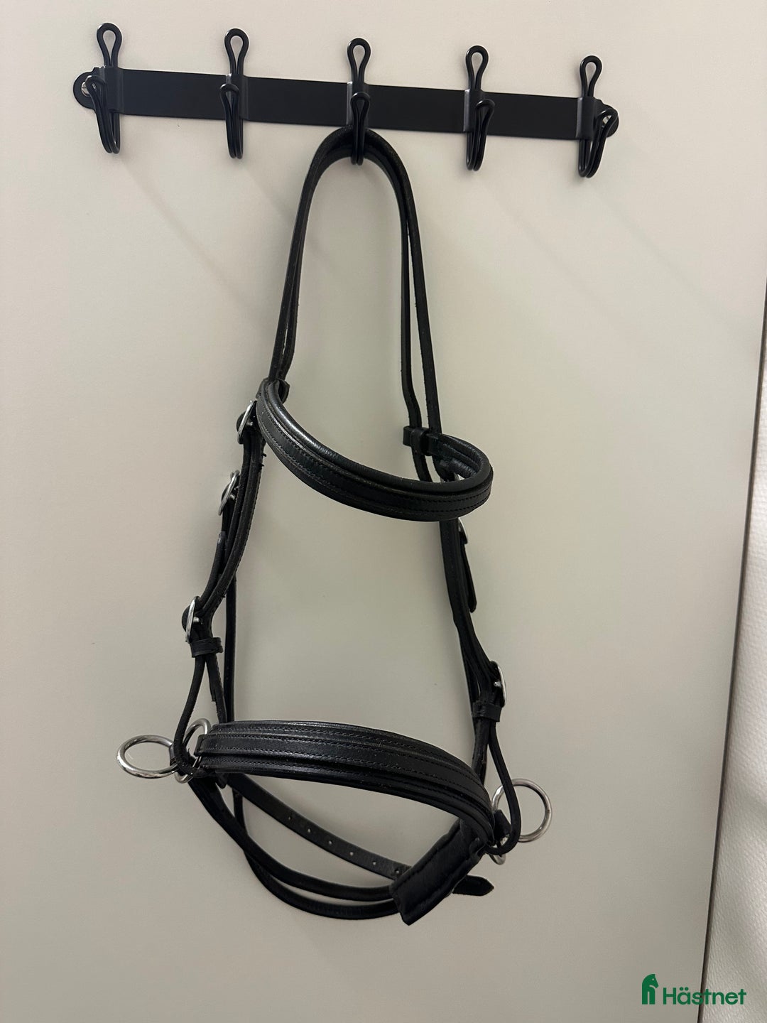 Träns hästutrustning till salu: Bettlöst träns Globus  i Kristianstad - Annons 1