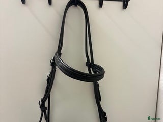 Träns hästutrustning till salu: Bettlöst träns Globus i Kristianstad - Annons 1