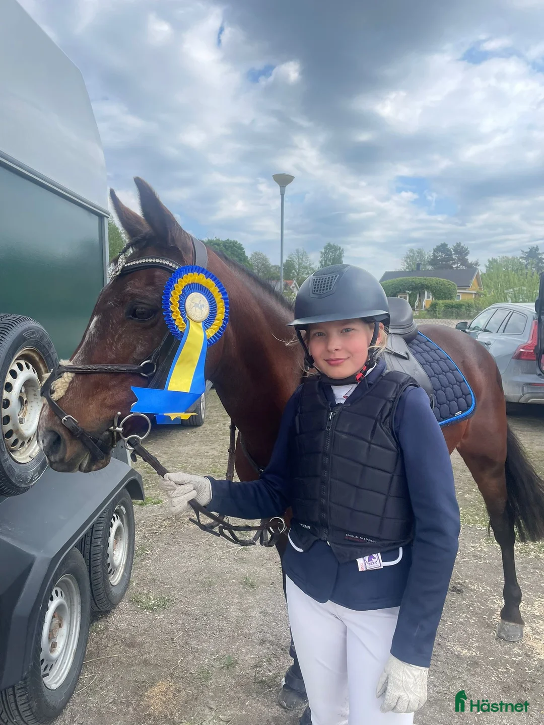 Hoppning hästar till salu: Fantastisk Mästerskaps ponny  i Katrineholm - Annons 2