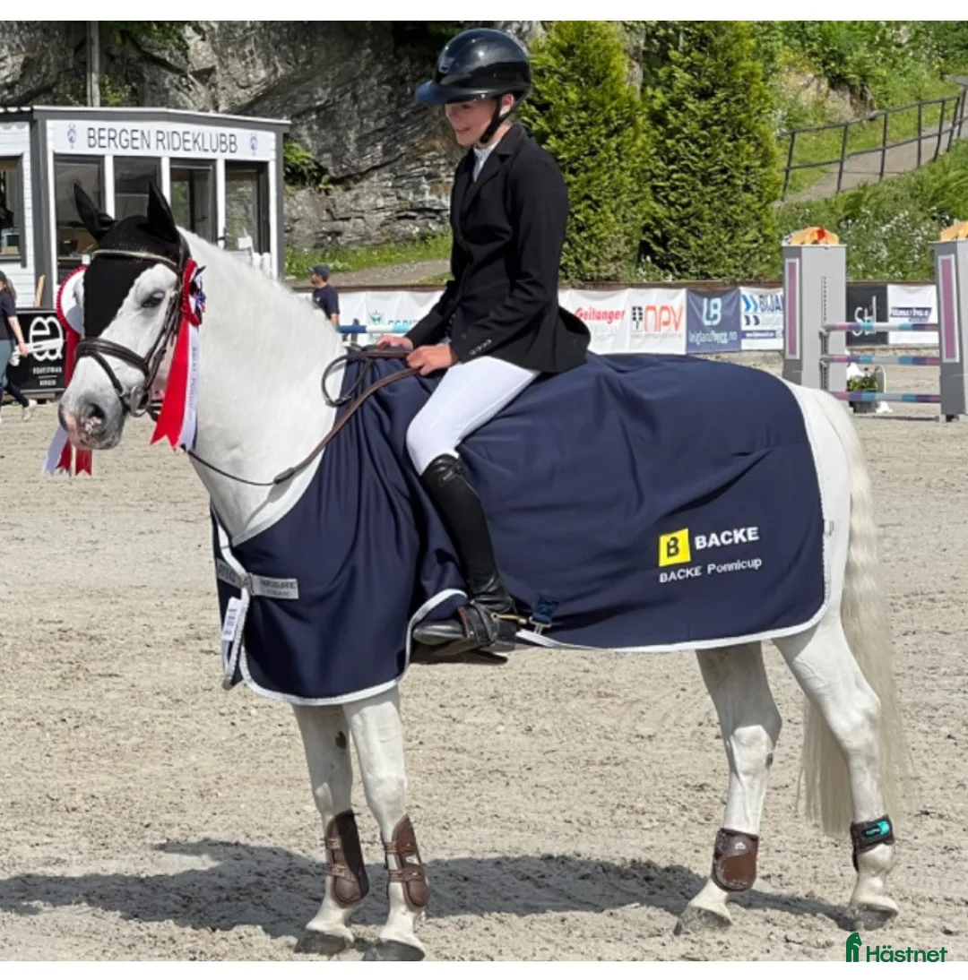 Hoppning hästar till salu: Topp kat.1 ponni til salgs i Bryne - Annons 11