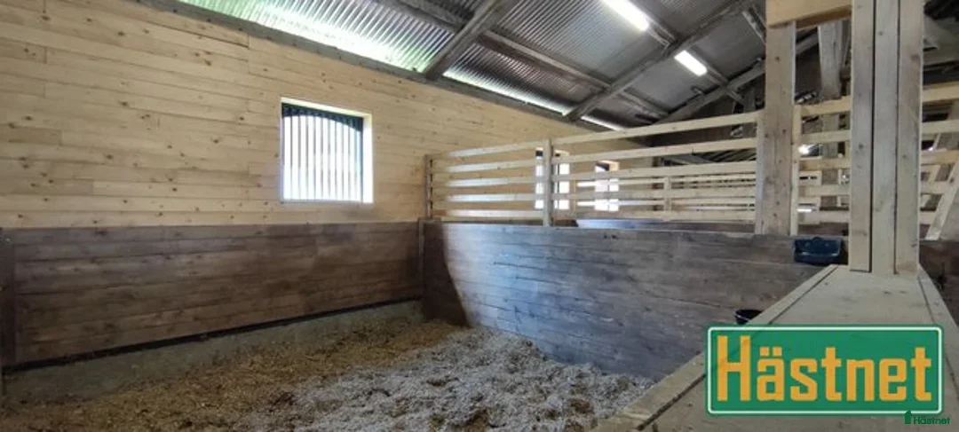  stallplats finnes: 2st Boxplatser lediga Kollektivt eller Fullservice i Fjärdhundra - Annons 4