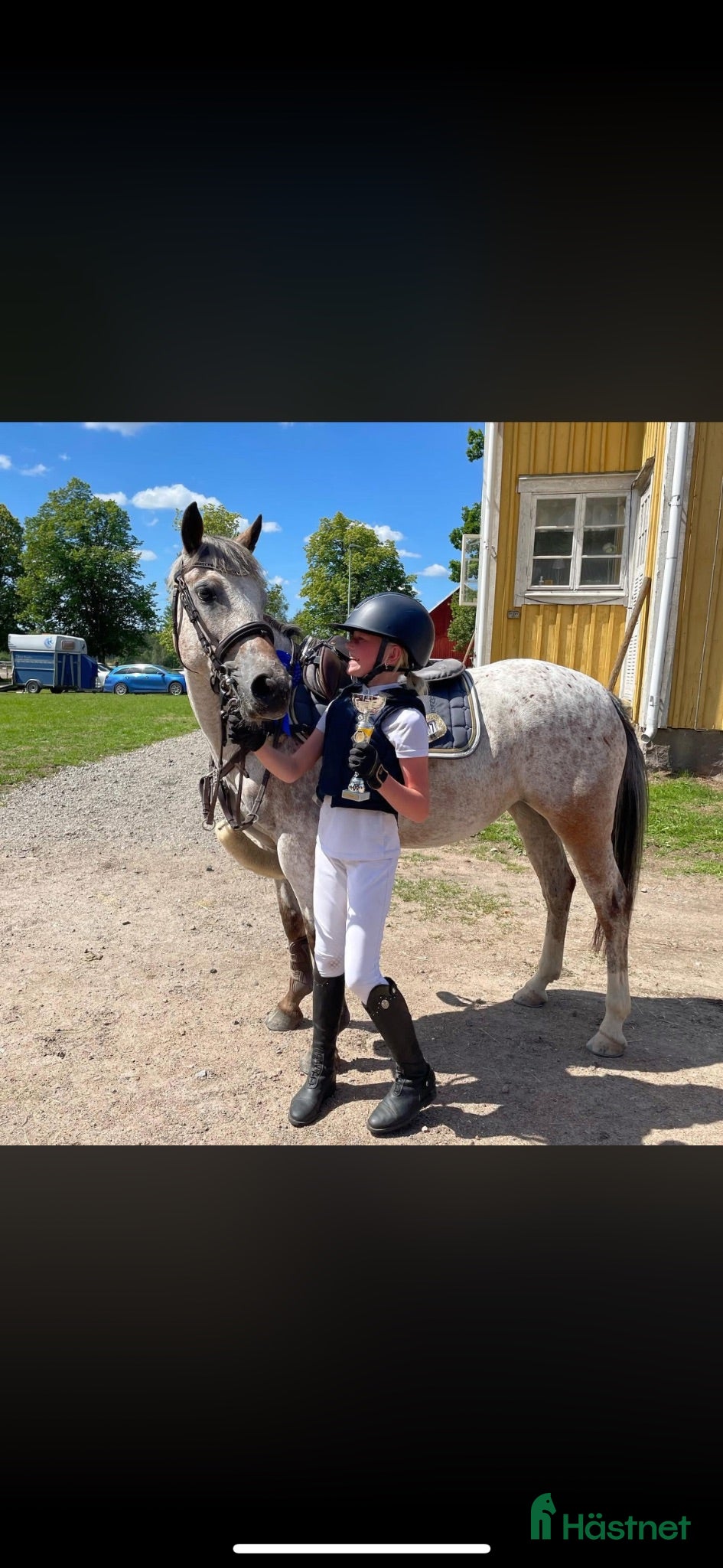  hästar Ponny med power ( Sm vinnare LB ) 😊 - Annons 2