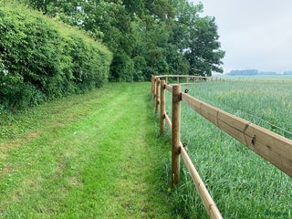 stallplats finnes i Trelleborg - Annons 2