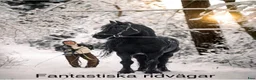  stallplats finnes: Stall med bostad uthyres - Annons 6