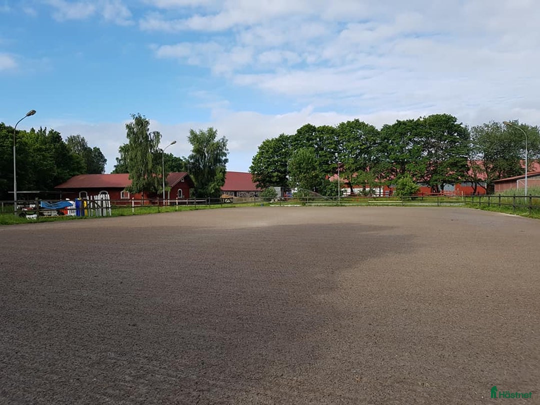  stallplats finnes: Stall om 6-10 boxar uthyres i Kristianstad - Annons 15
