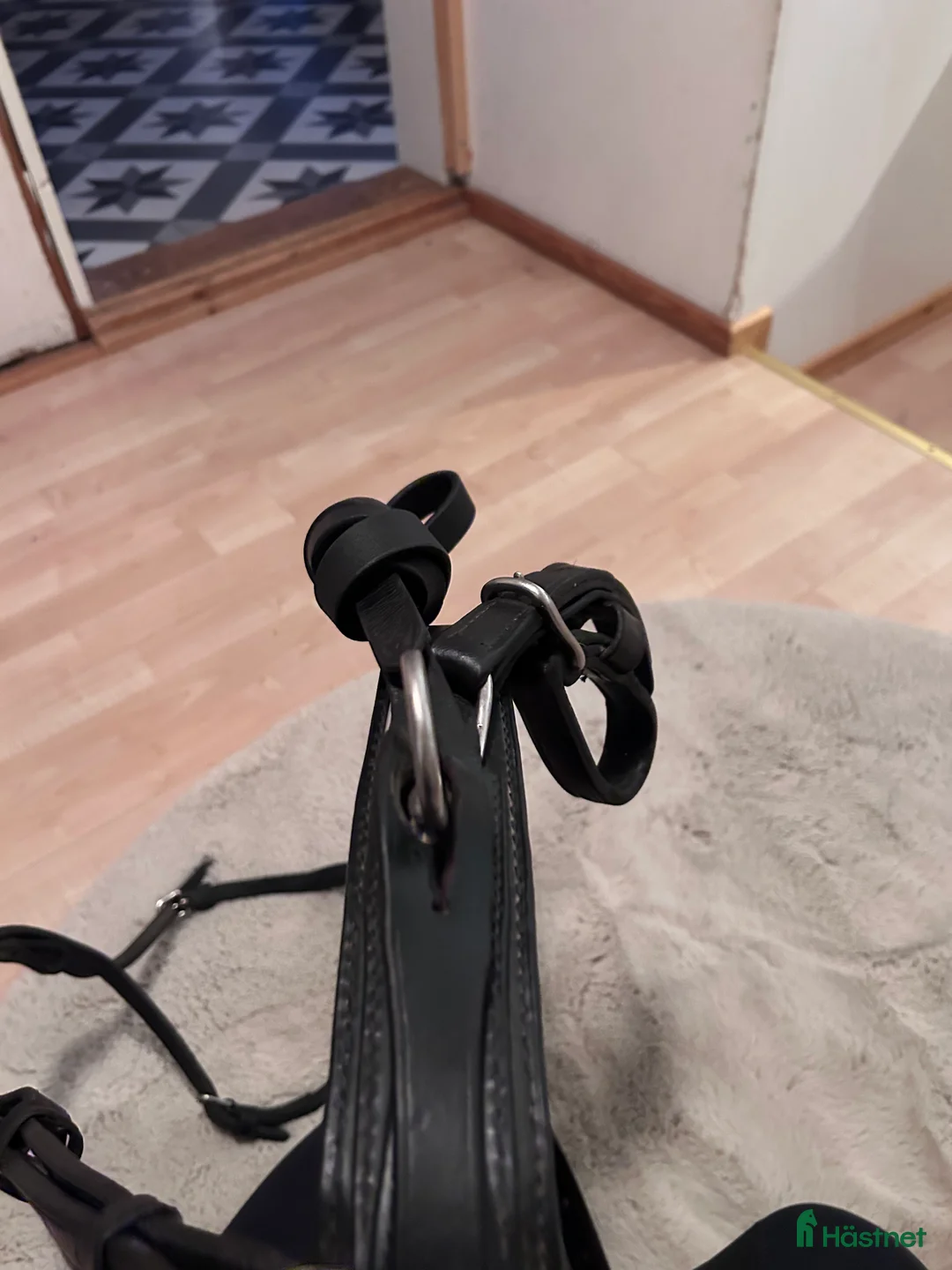 Travselar trav till salu: Remsele till ponny i Förslöv - Annons 4