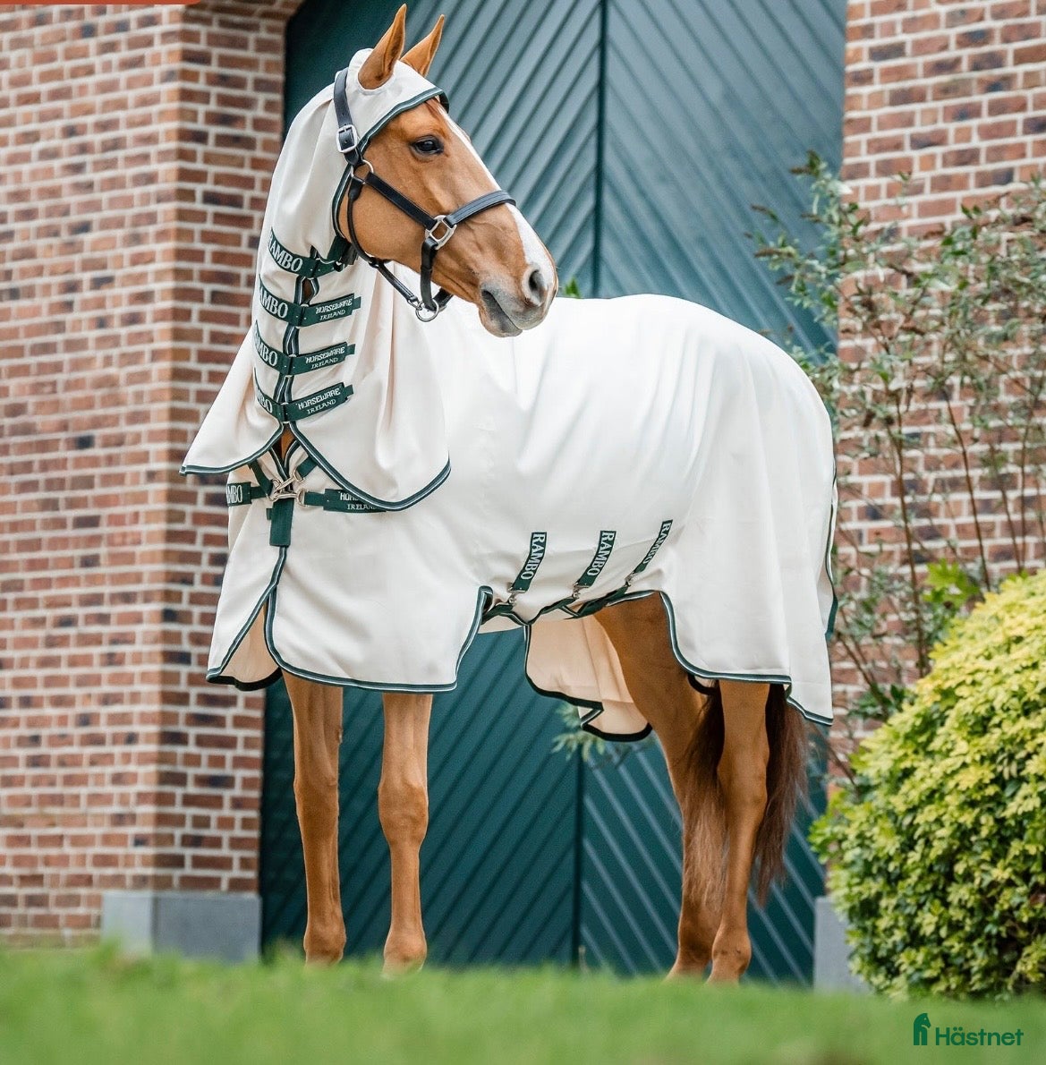 Täcken hästutrustning Horseware Rambo Hoody 145 cm - Annons 2