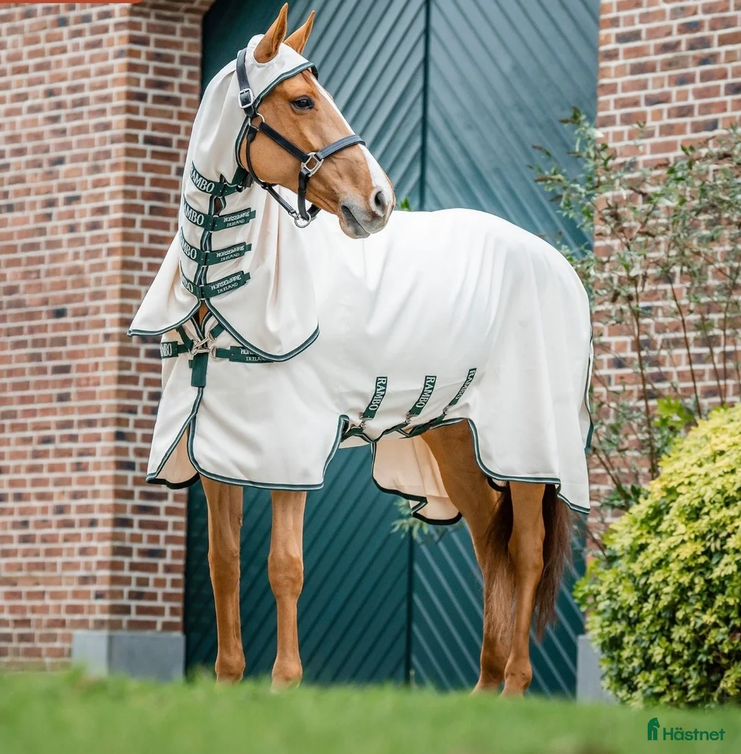Täcken hästutrustning till salu: Horseware Rambo Hoody 145 cm - Annons 1