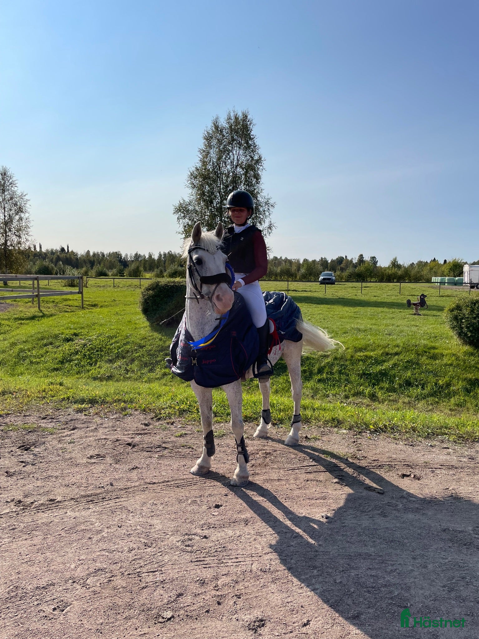  hästar Härlig ponny med stort ❤️  - Annons 1