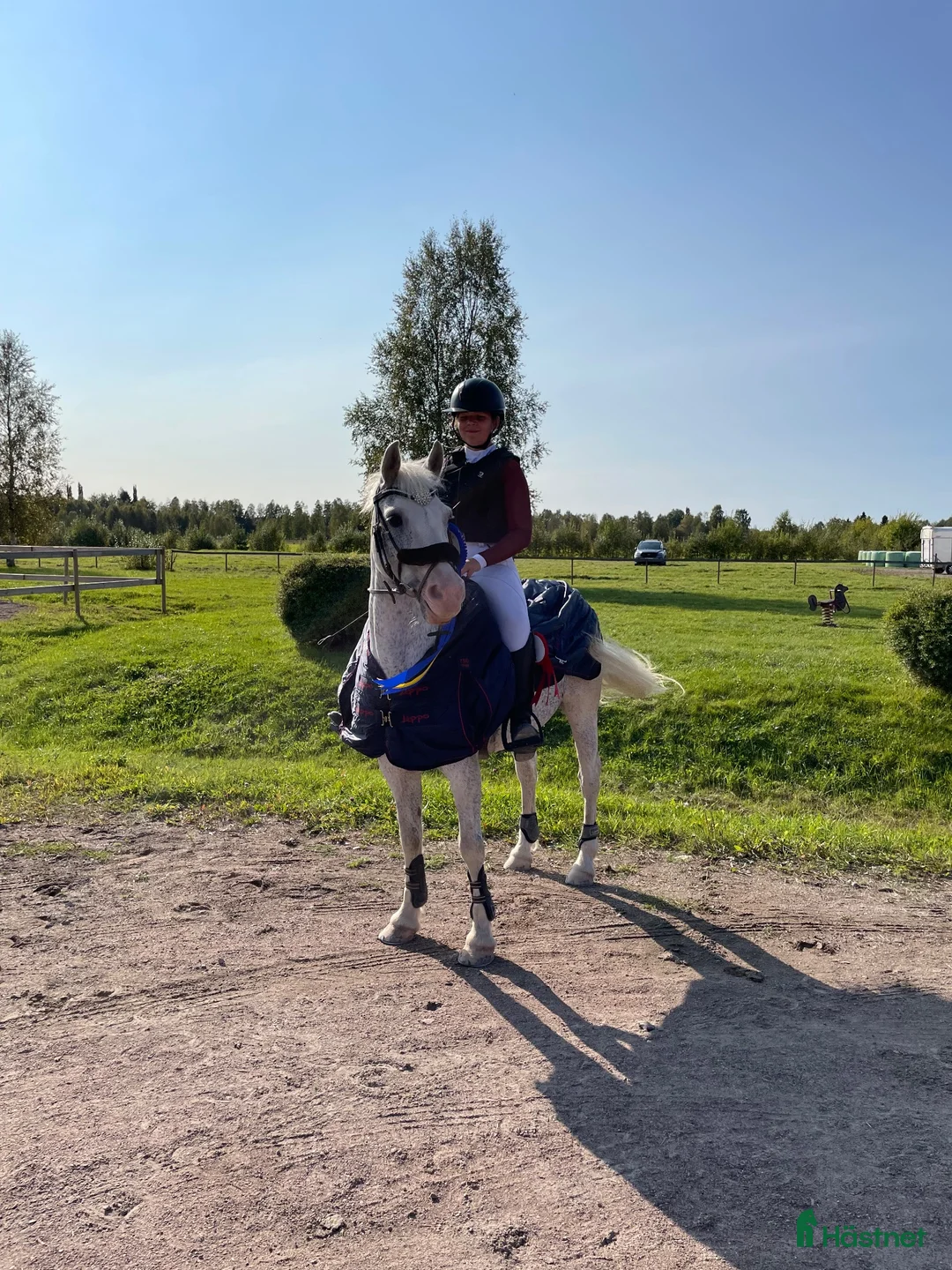 Hoppning hästar till salu: Härlig ponny med stort ❤️  i Dala-Floda - Annons 1