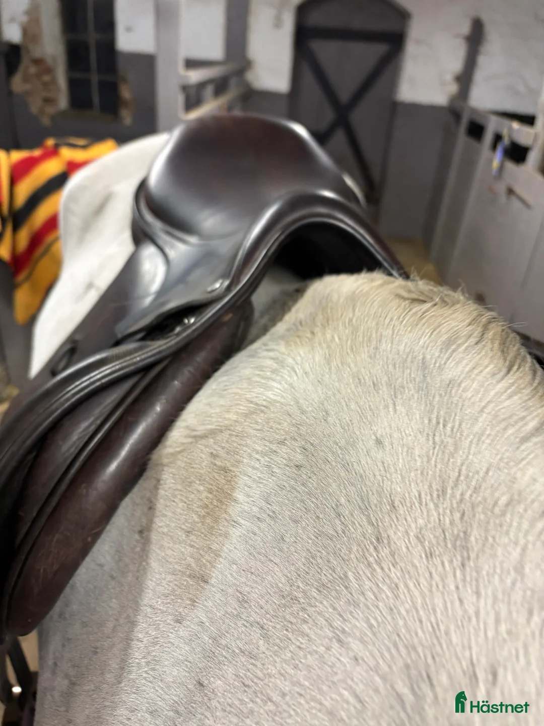 Sadlar hästutrustning till salu: Equipe Grand Prix - bud? - Annons 3