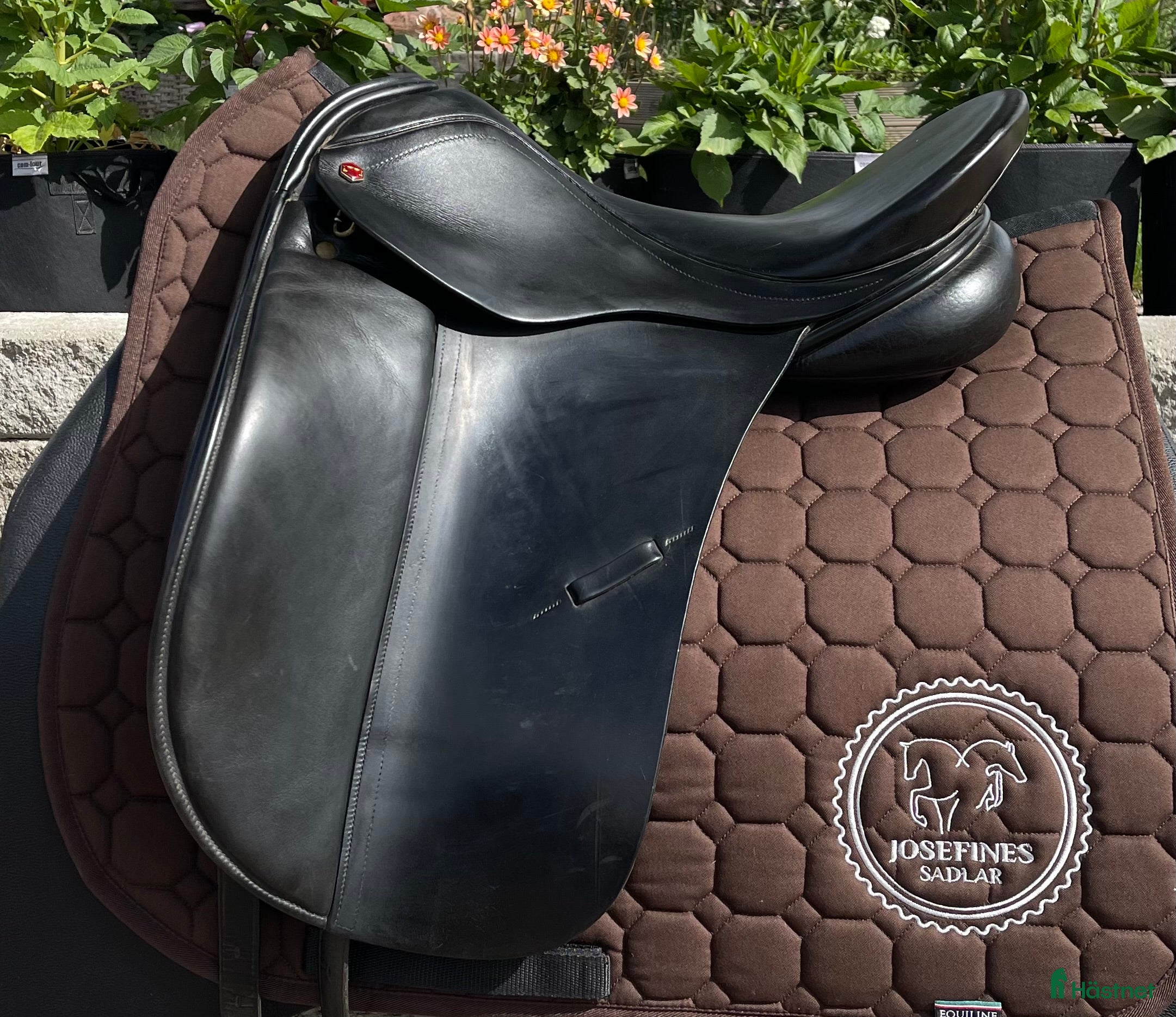 Sadlar hästutrustning Albion Legend K2 i Hova - Annons 4