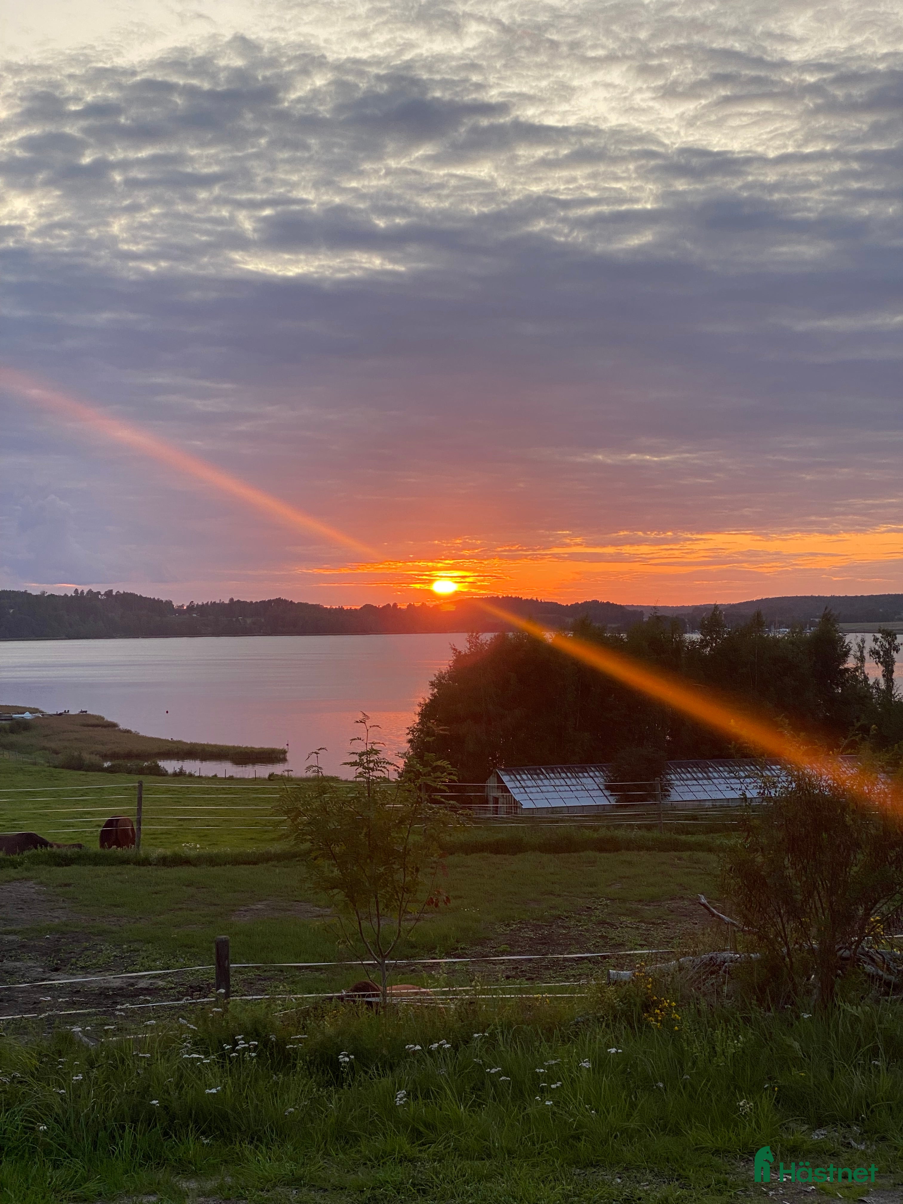  stallplats Stallplatser på Södertörn Ryttarcenter i Grödinge - Annons 18