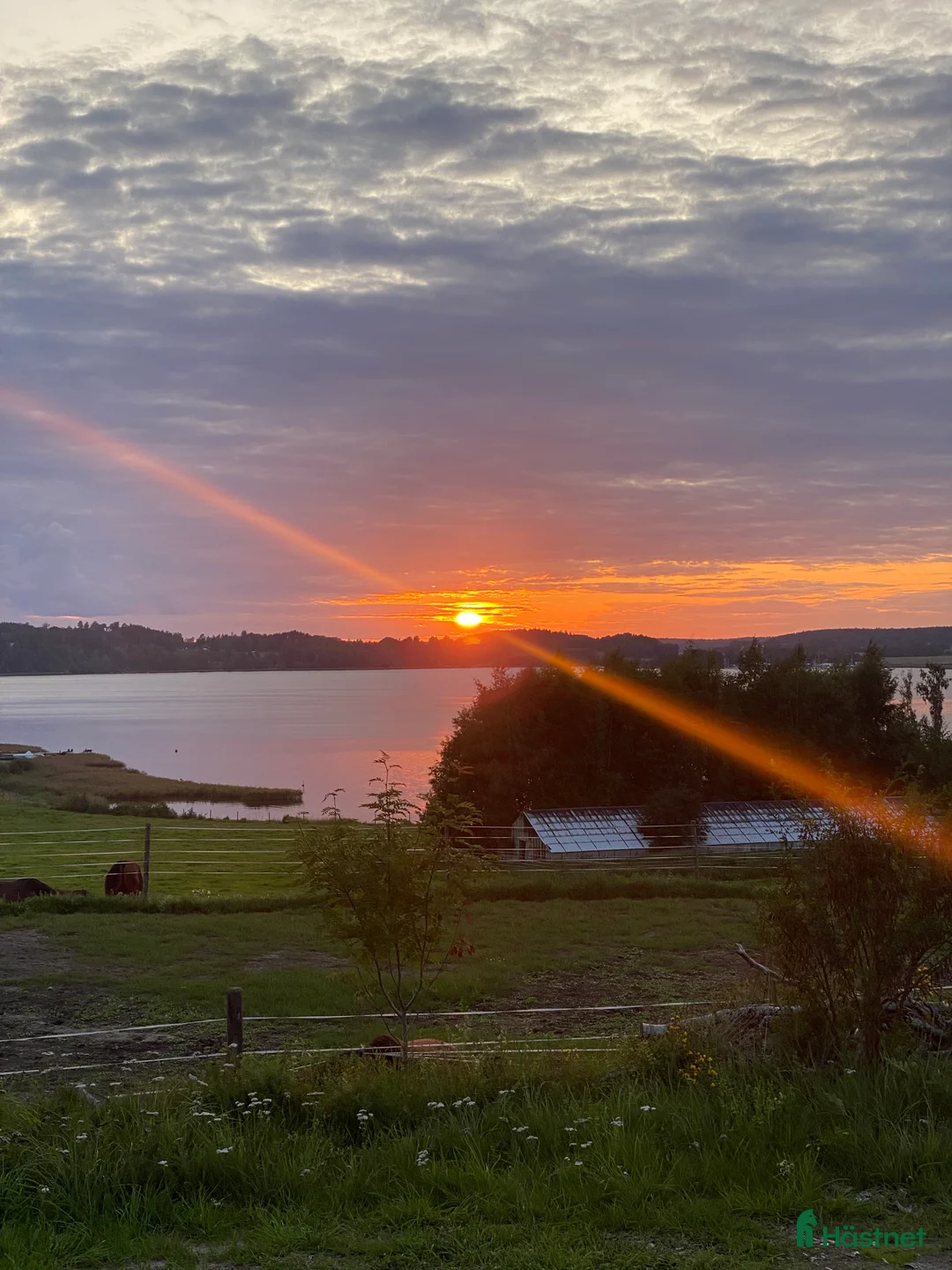  stallplats finnes: Stallplatser på Södertörn Ryttarcenter i Grödinge - Annons 1
