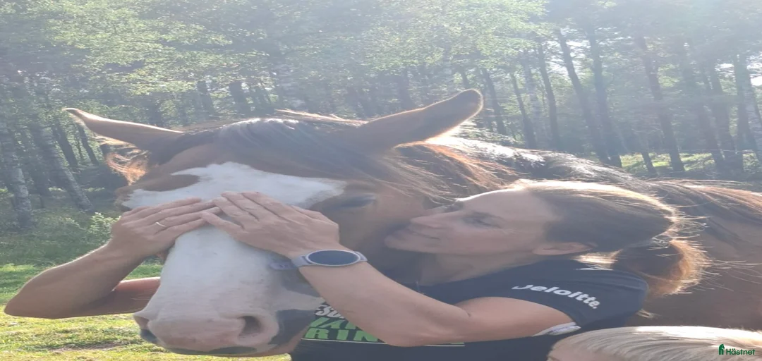 Galleribild {{count}}