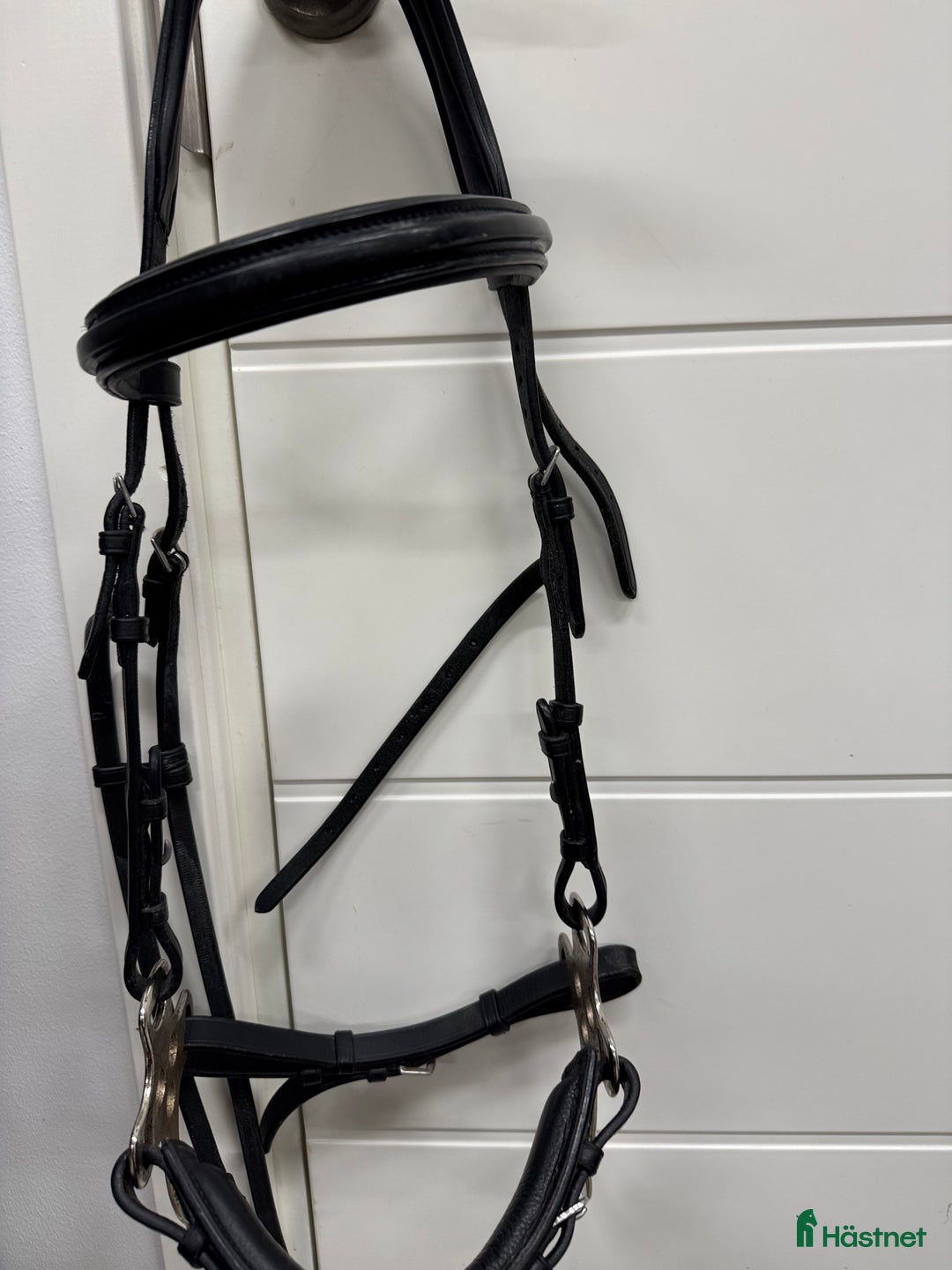 Träns hästutrustning till salu: Lippo hackamore träns i Torslanda - Annons 2