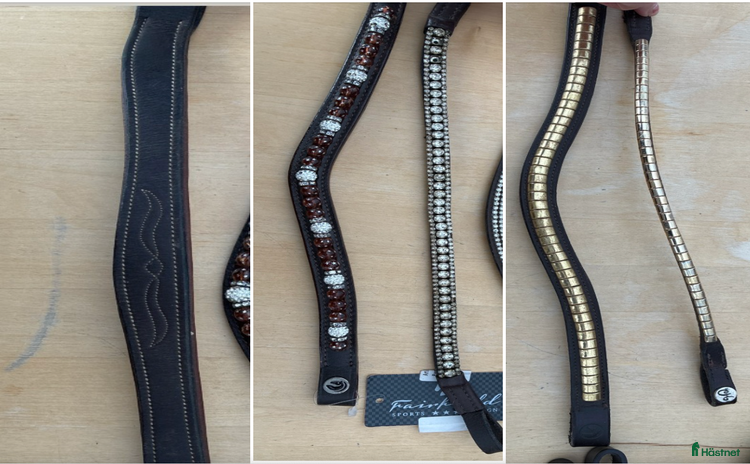 Träns hästutrustning till salu i Söderköping - Annons 14