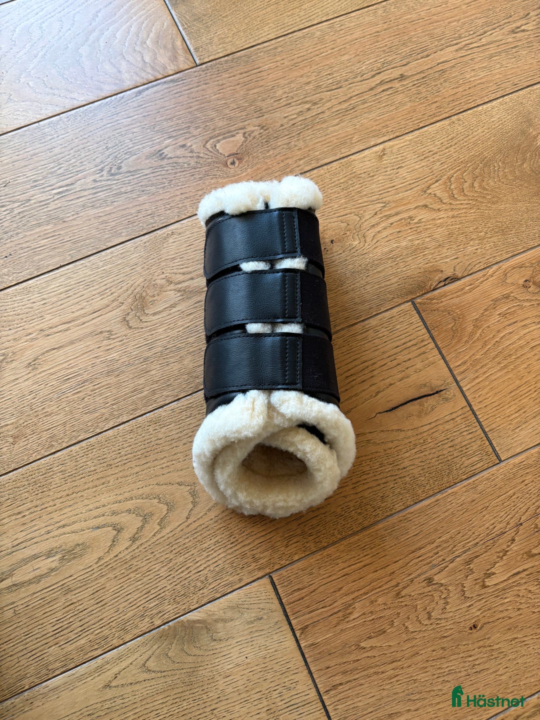 Övrig Hästutrustning hästutrustning till salu: Hästutrusting - Säljtråd i Klagshamn - Annons 11