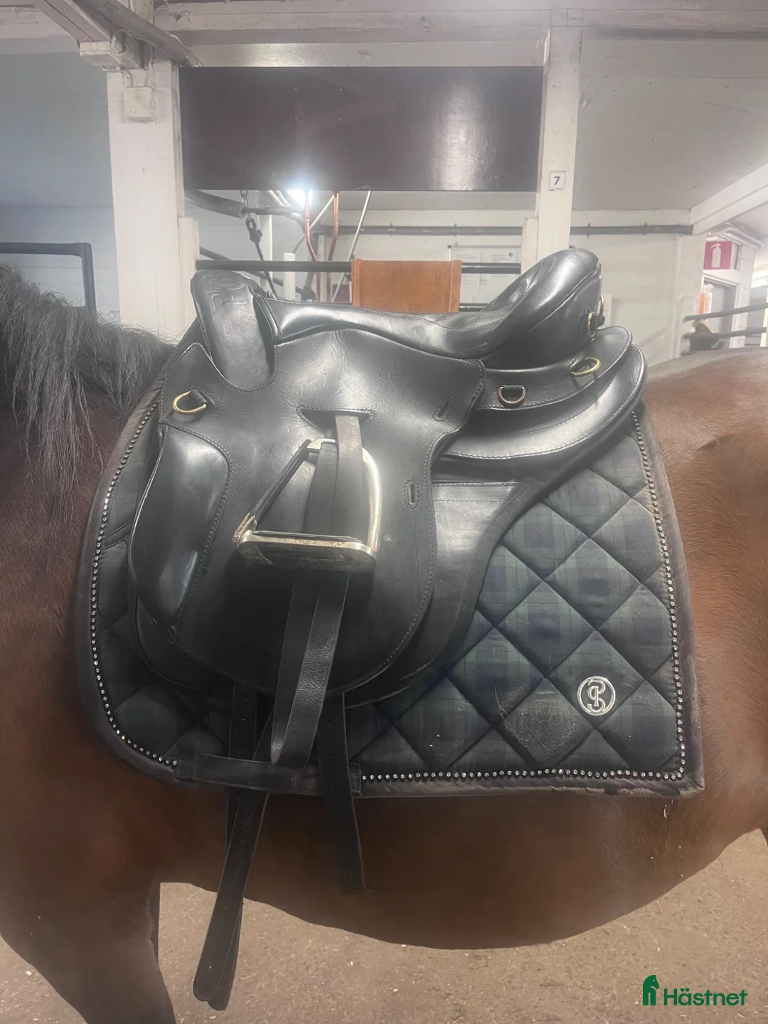 Sadlar hästutrustning till salu: Endurance sadel - Annons 2