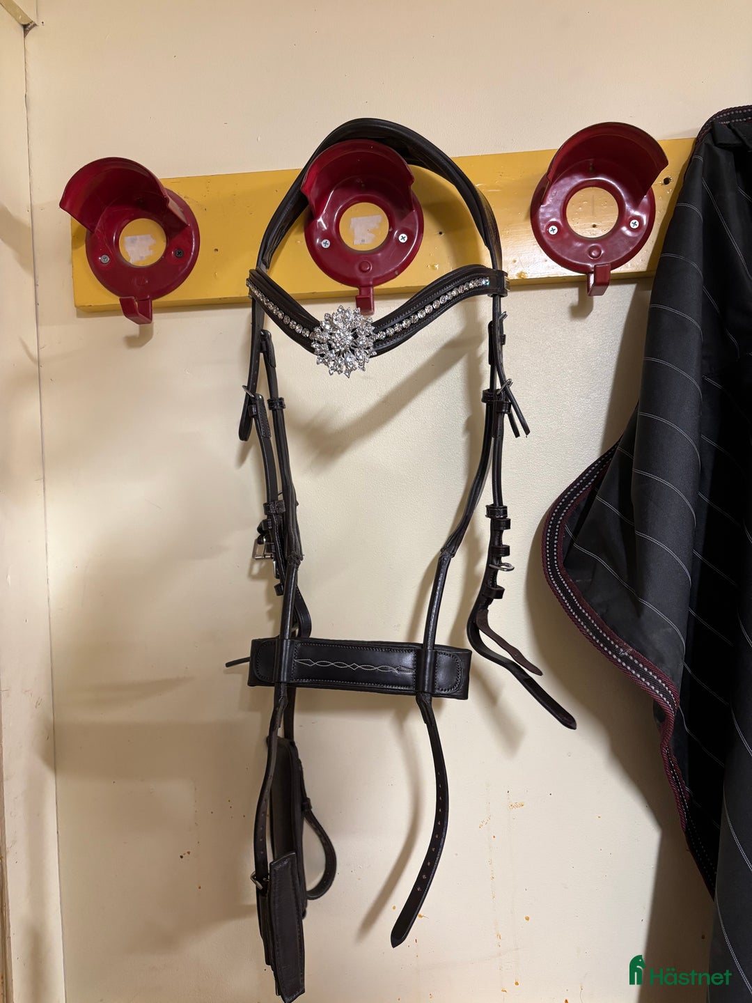 Träns hästutrustning till salu: PS High jump träns önskar bytas  i Östersund - Annons 3