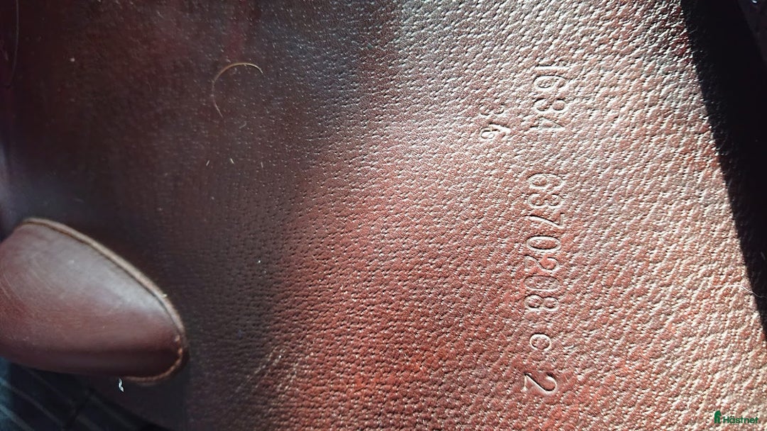 Sadlar hästutrustning till salu: Prestige Versailles hoppsadel  i Järvsö - Annons 8