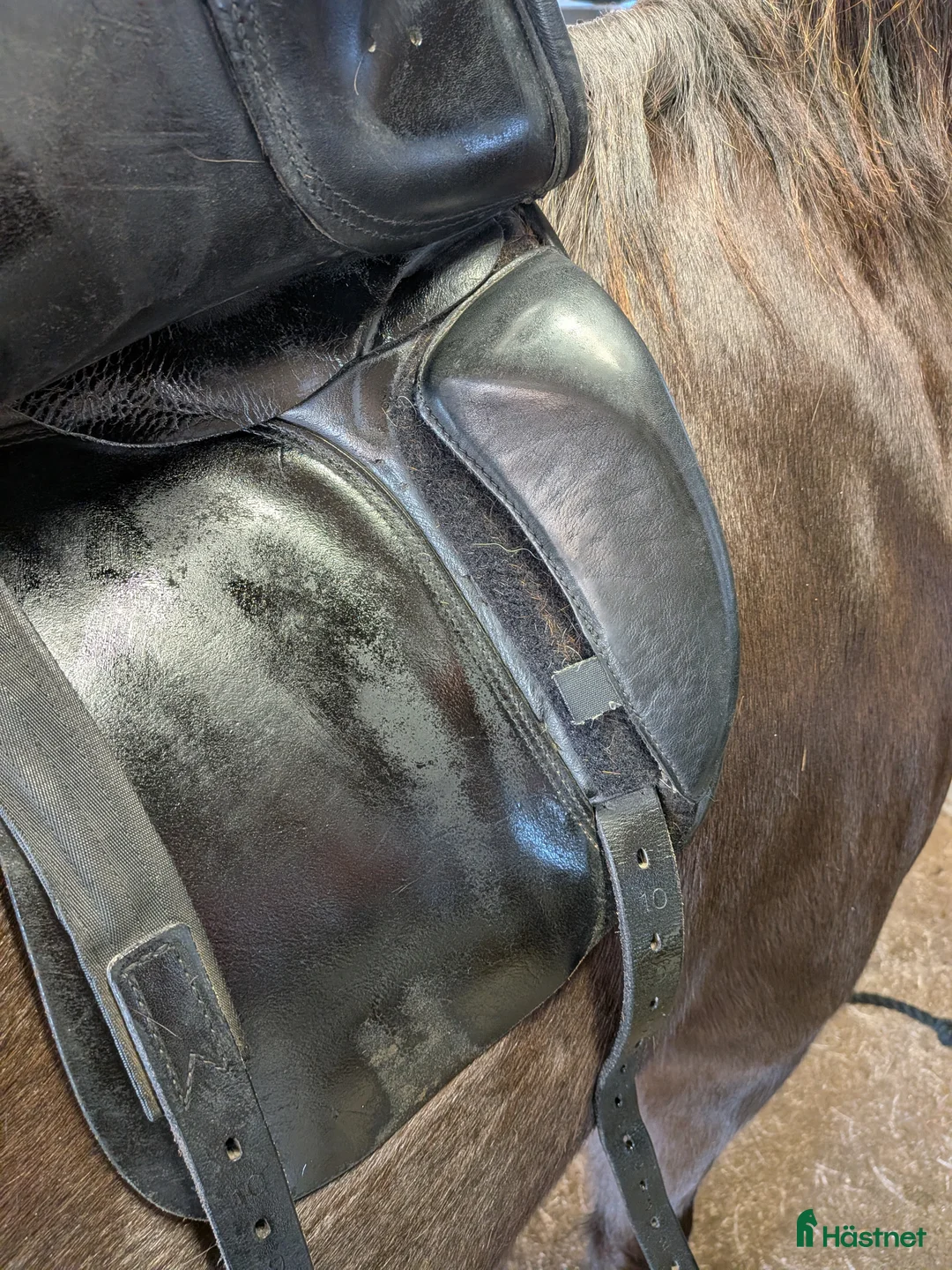 Sadlar hästutrustning till salu: Prestige Lucky Dressage  - Annons 5