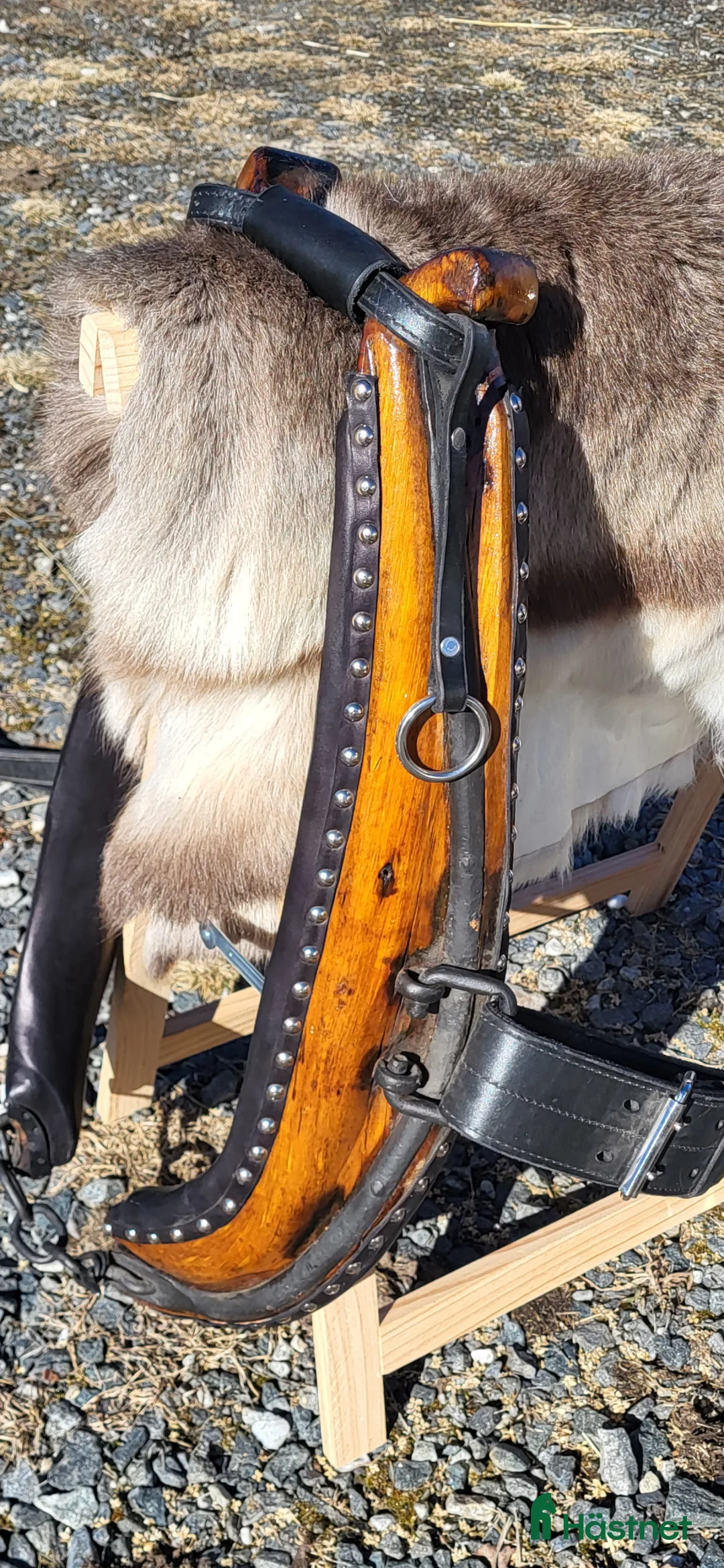 Övrig Hästutrustning hästutrustning till salu: Fin sele - Annons 1