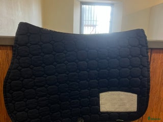 Schabrak & Vojlockar hästutrustning till salu: Fint equiline schabrak i Viken - Annons 1