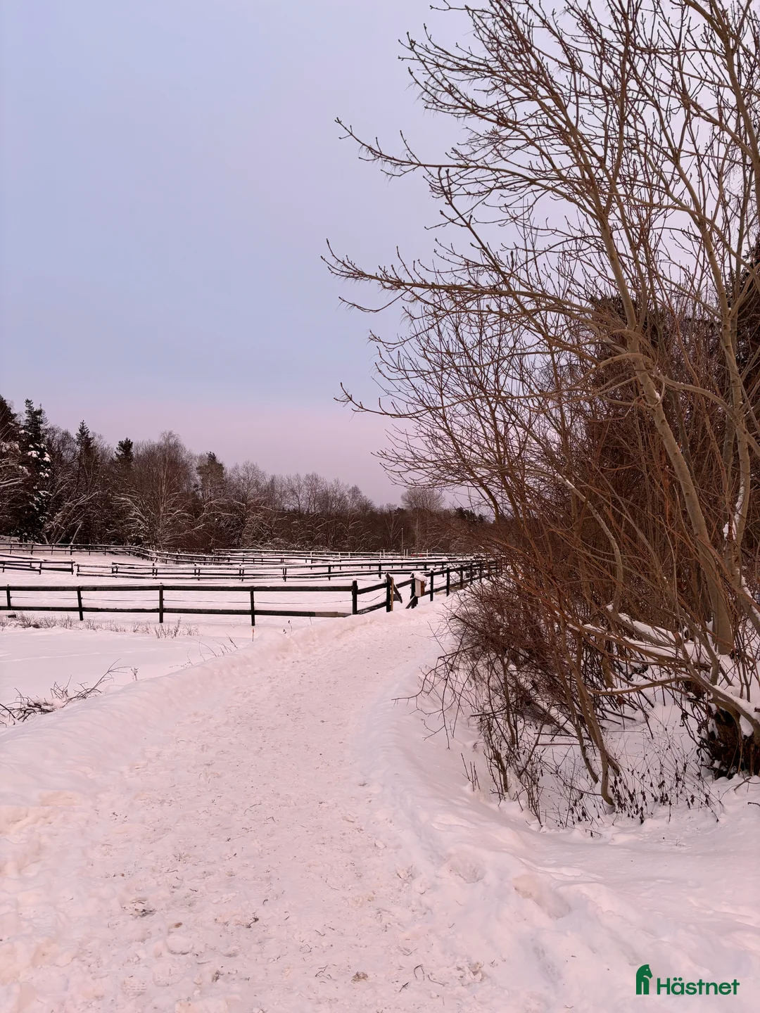  stallplats finnes: Ledig stallplats på Kungsgården Sköldnora i Upplands Väsby - Annons 3