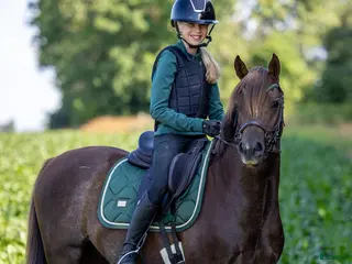 hästar Moelview King Arthur - Annons 1