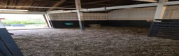  stallplats finnes: Lösdrift ledig  - Annons 2