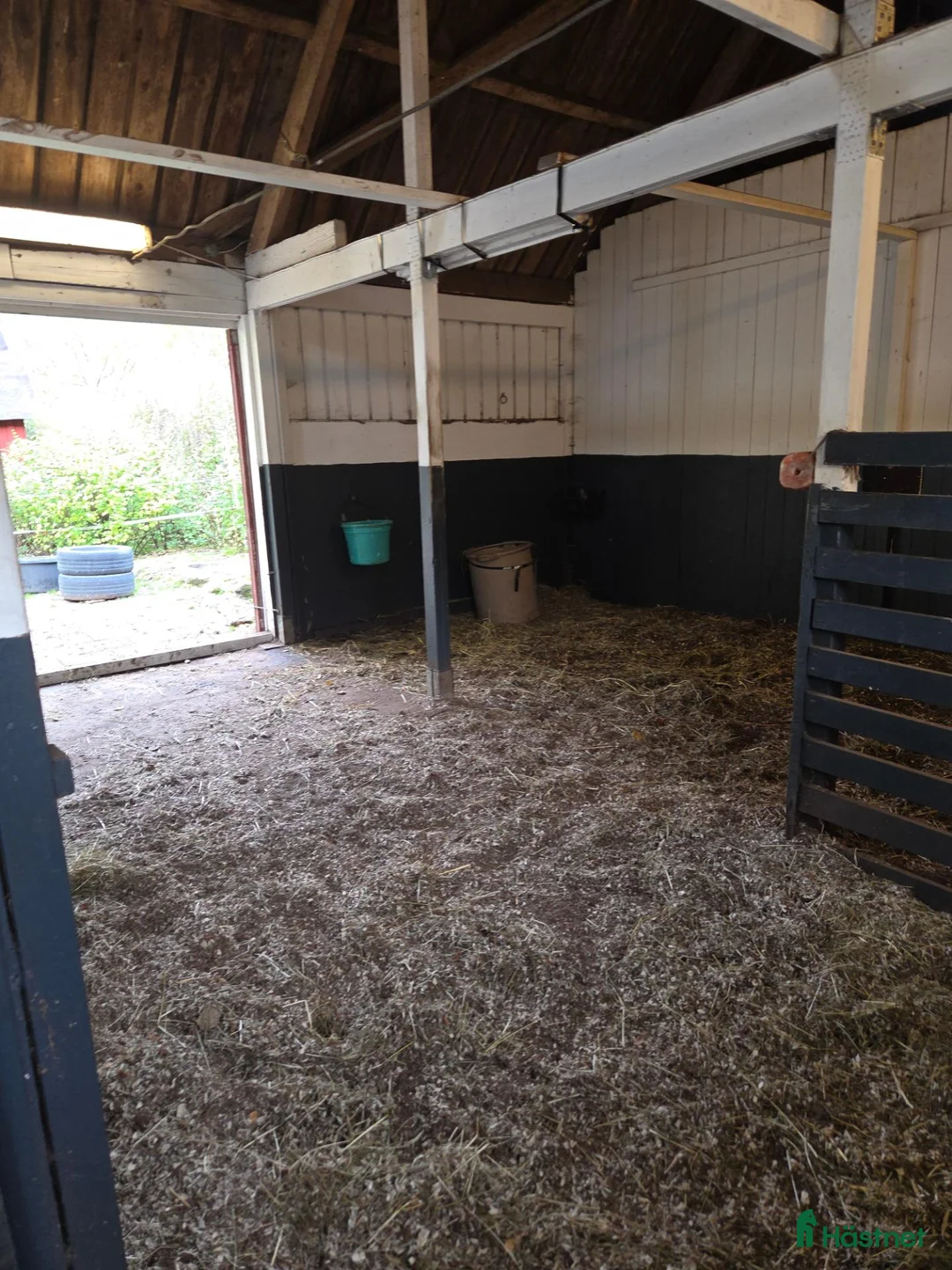  stallplats finnes: Lösdrift ledig  - Annons 2
