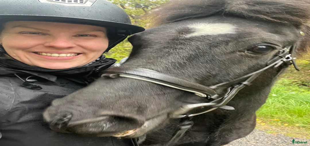 Galleribild {{count}}