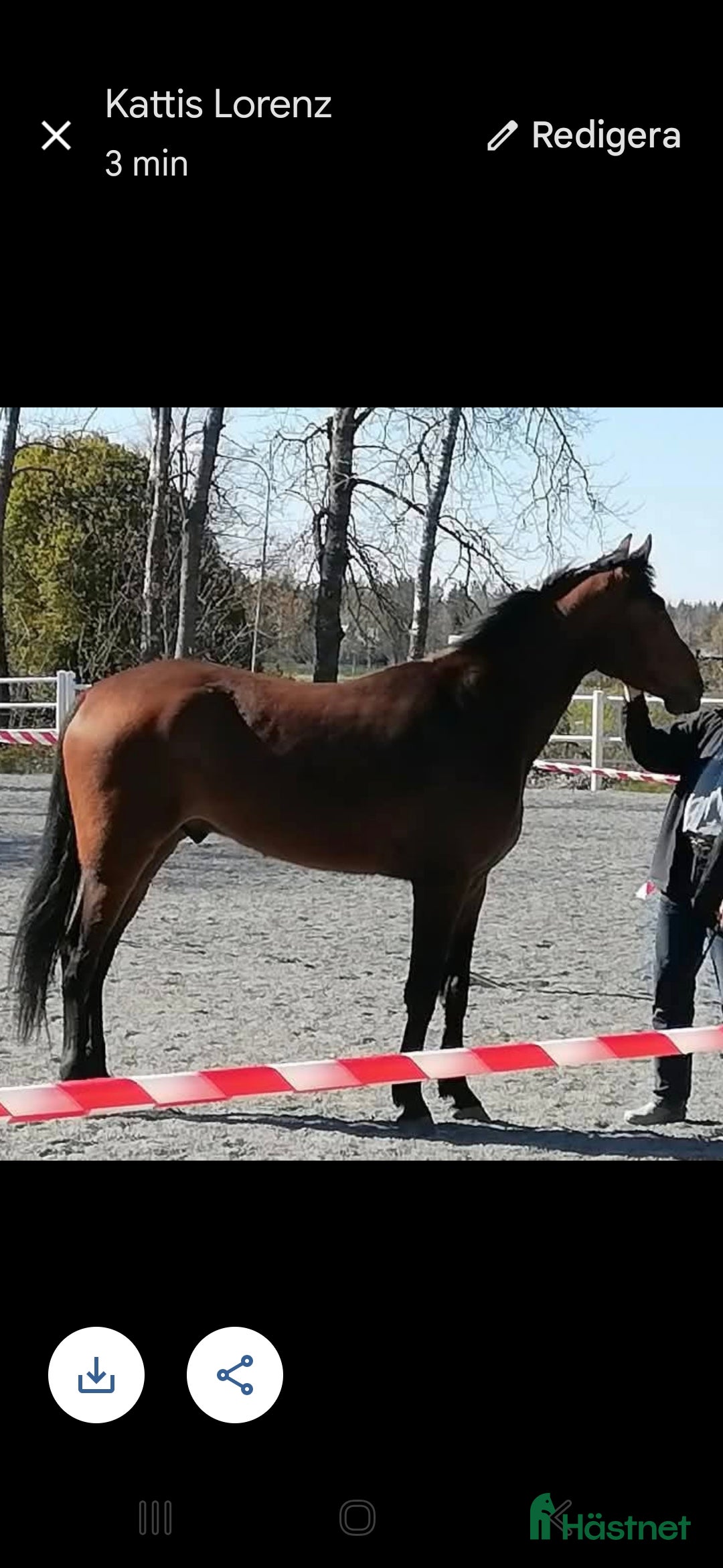  hästar Säljes som ridhäst i Väddö - Annons 13