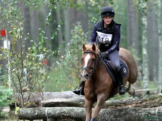 hästar En av Sveriges högst rankade b-ponny i fälttävlan i Kumla - Annons 10