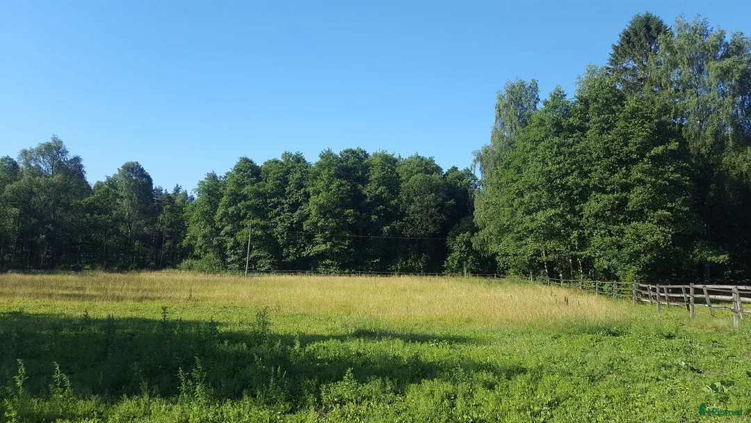  stallplats finnes: Välskött mindre ridanläggning uthyres - Annons 7