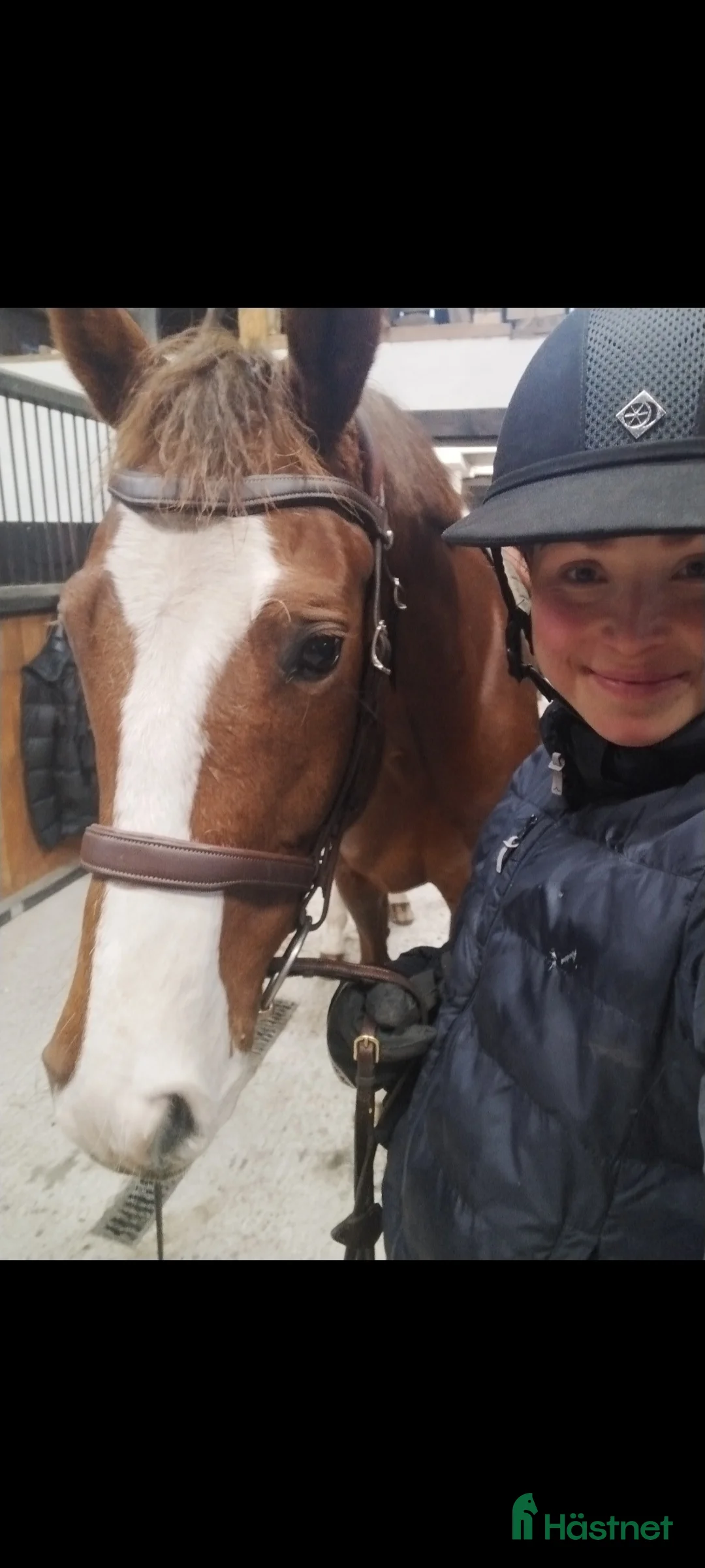  hästservice finnes: Horse Holistic - Hästutbildning - Annons 11