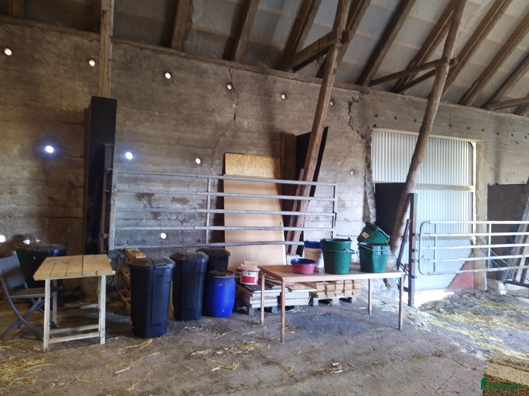  stallplats finnes: Hästboxar att hyra på en fantastisk tomt.  i Tomelilla - Annons 16