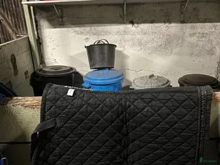 Schabrak & Vojlockar hästutrustning Tre schabrak - Annons 1