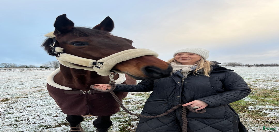 Galleribild {{count}}