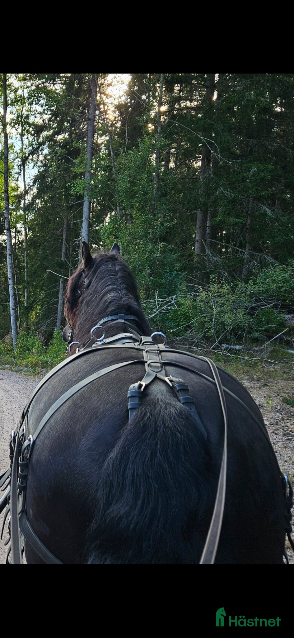 Körselar körning till salu: Baksele Maraton - Annons 3
