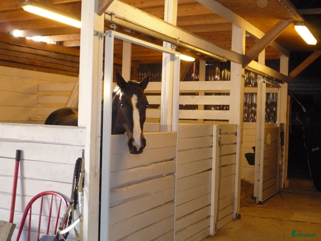  stallplats finnes: Lediga platser på Ytterstene Gård i Vagnhärad - Annons 7