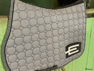 Schabrak & Vojlockar hästutrustning Equiline E logga m.m - Annons 9