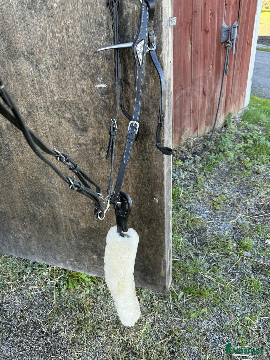 Sadeltillbehör hästutrustning till salu: Equline förbygel  i Eskilstuna - Annons 3