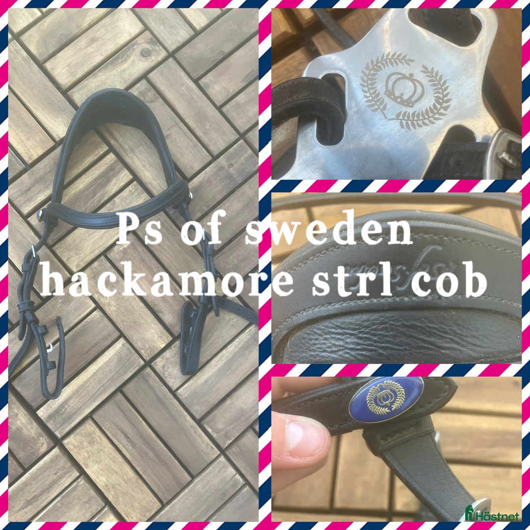 Övrig Hästutrustning hästutrustning till salu: Ps of sweden hackamoreträns säljes! i Alingsås - Annons 1